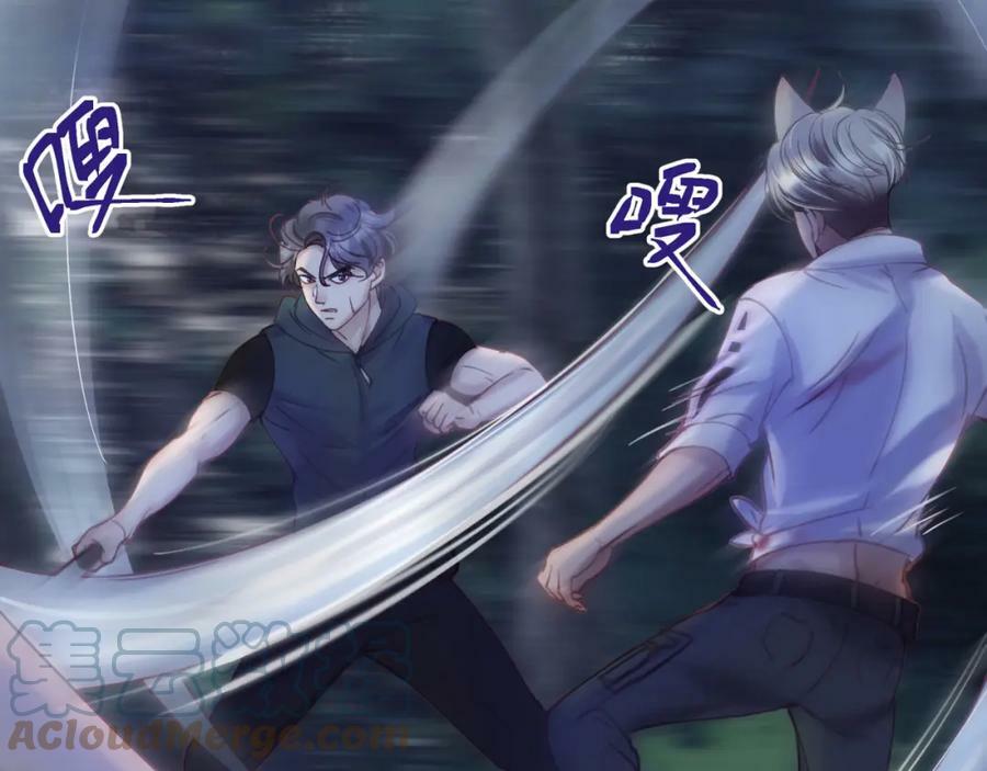 第十七回 斗狐48