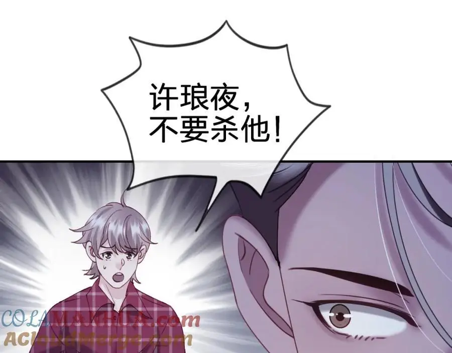 第五十回 傀儡39
