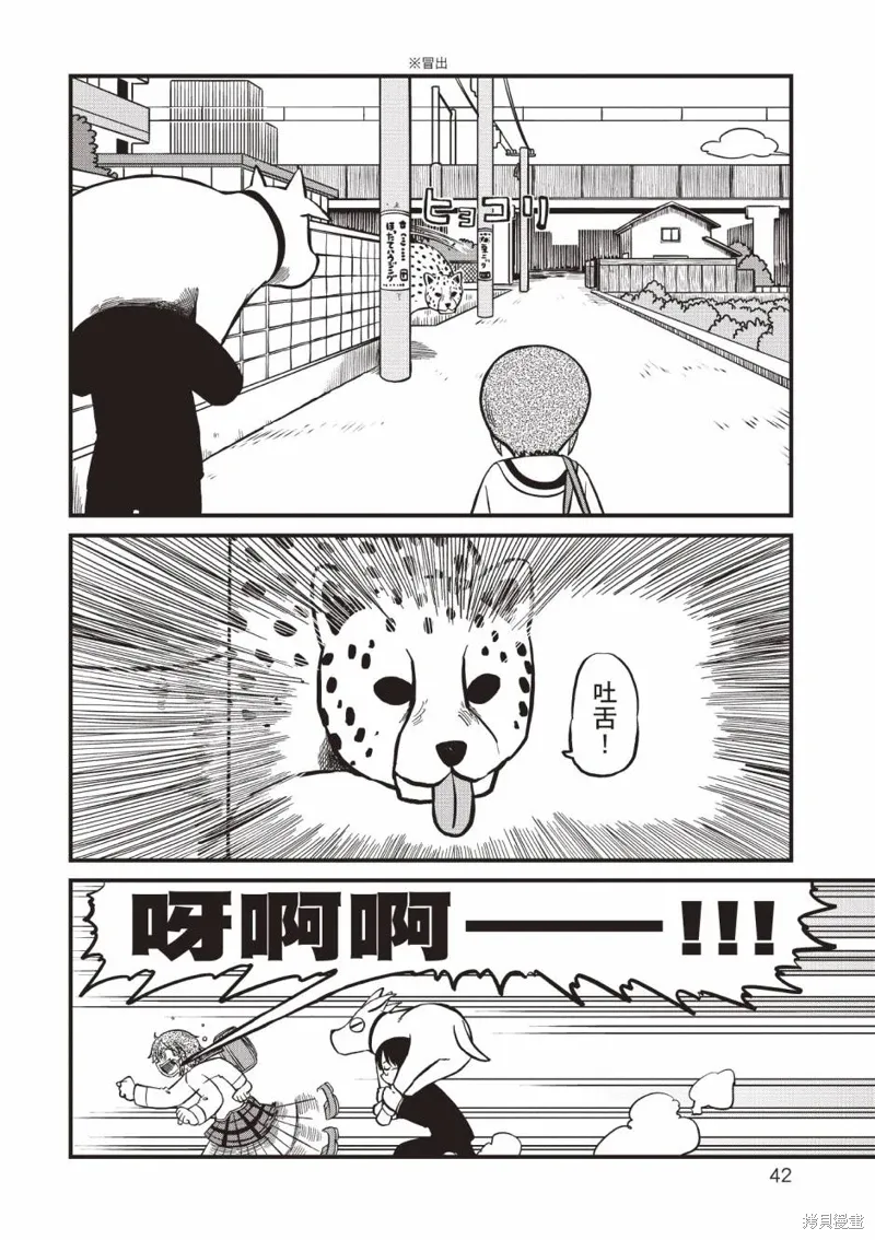 第11卷42
