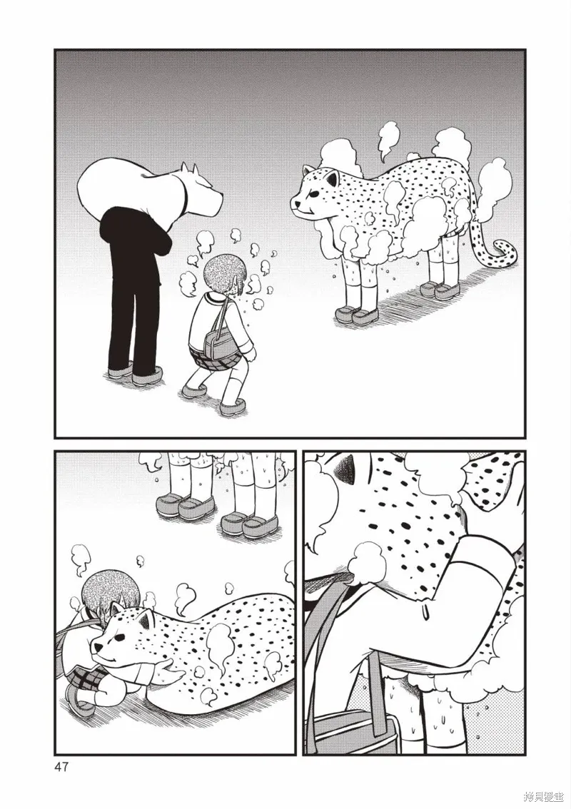 第11卷47