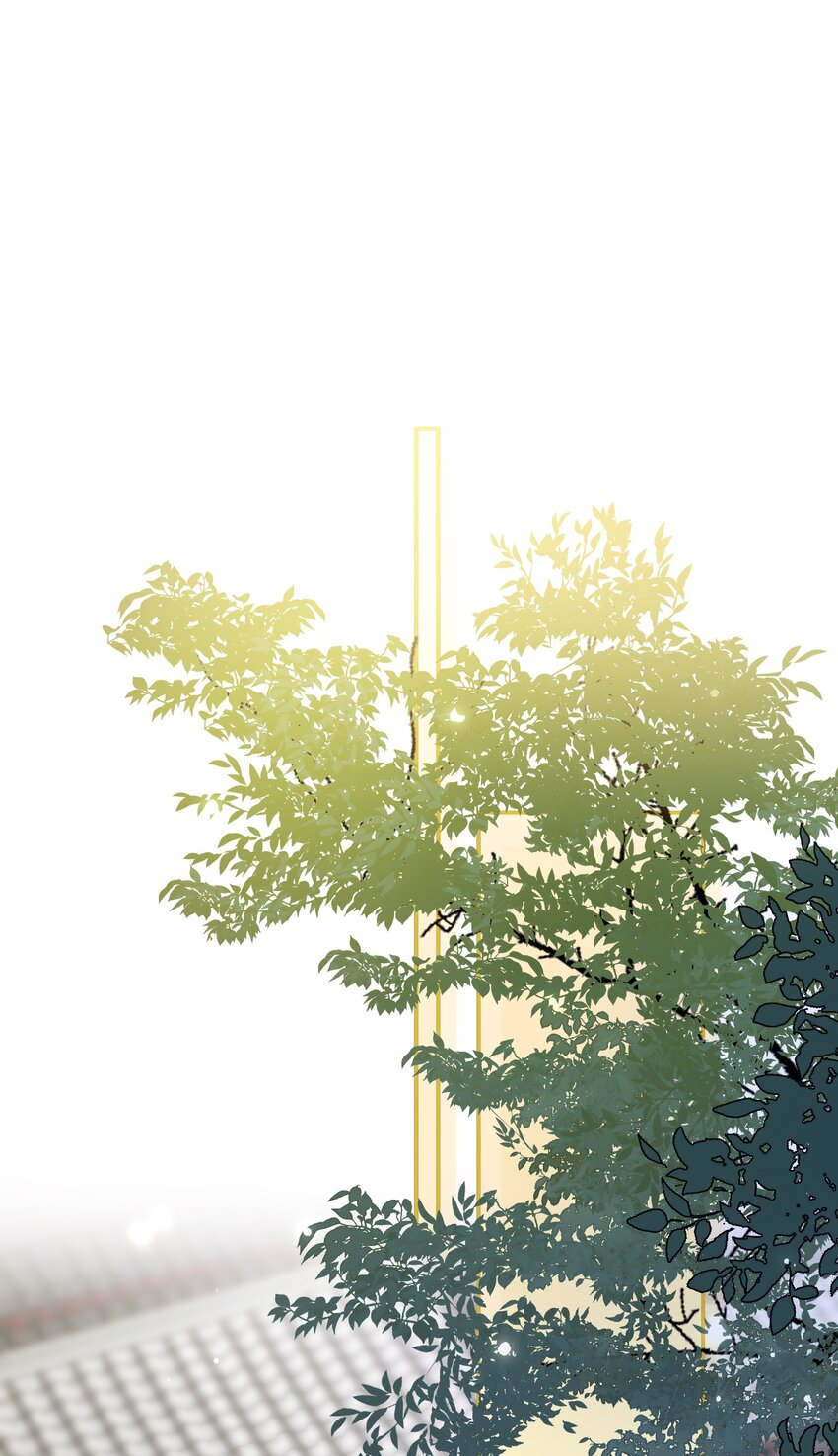 016 夫人是时候改口了1