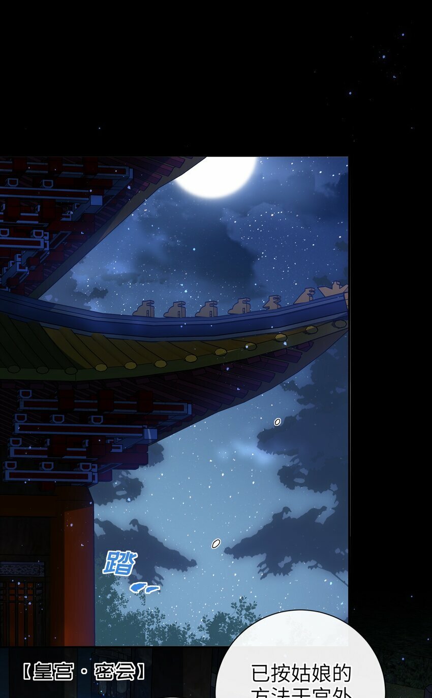 055 该收网了26
