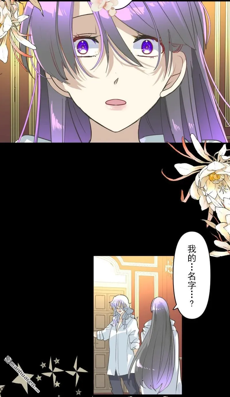 第337回 过去篇441