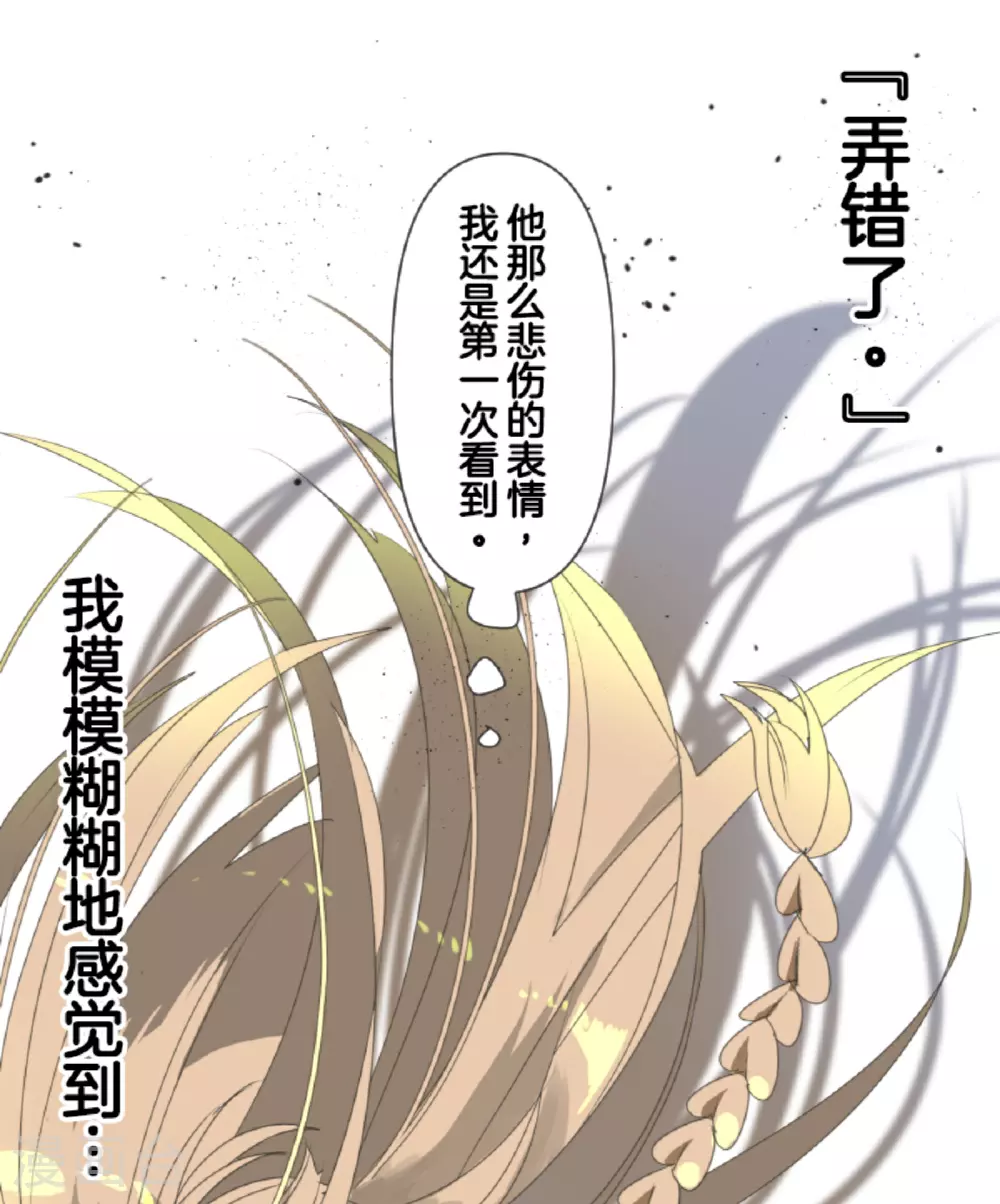 第297话 正面进攻40