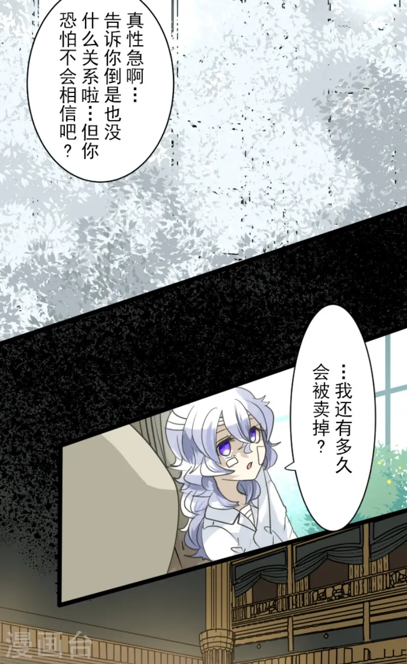 第220话 过去篇3135