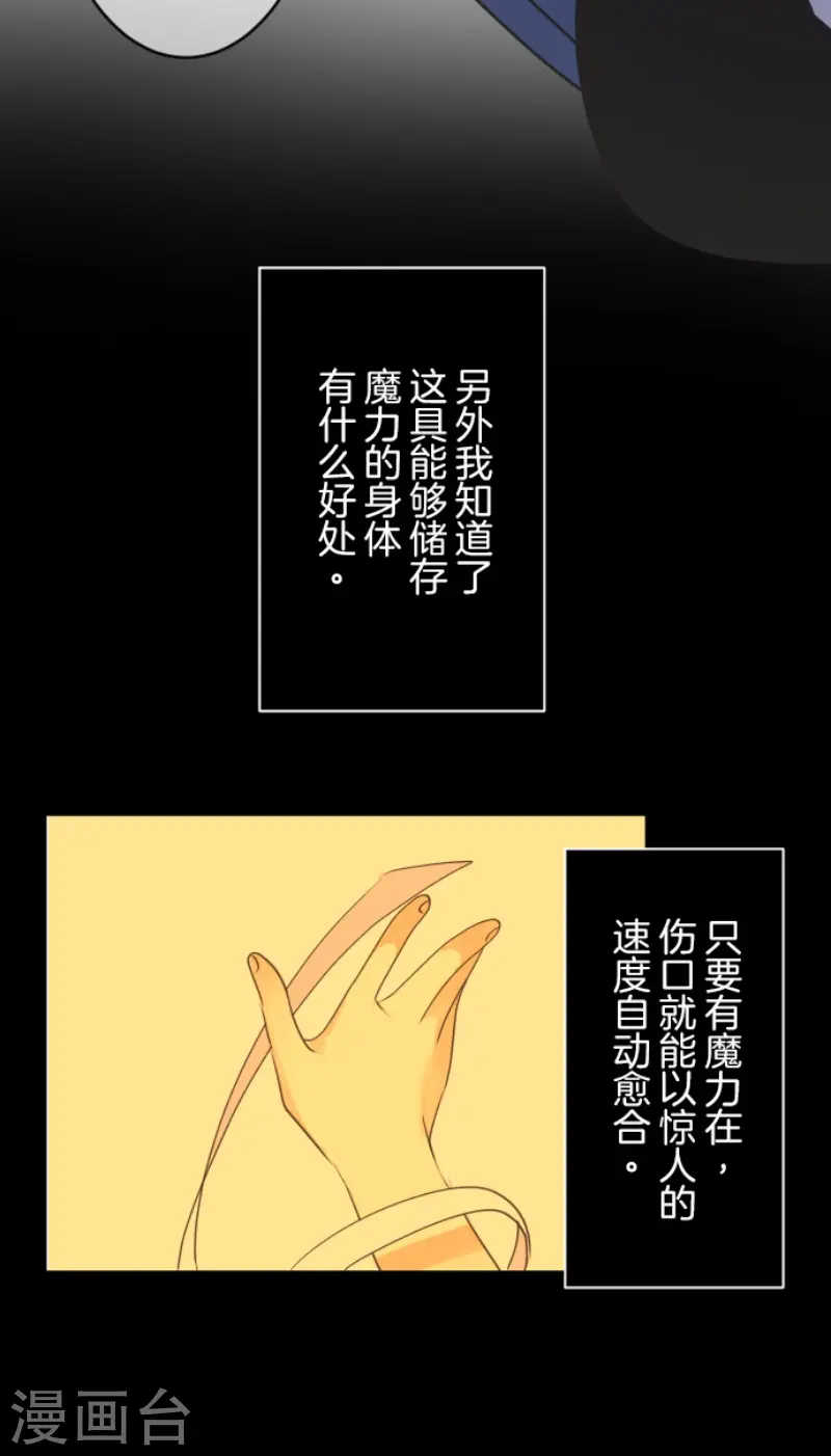 第216话 过去篇306