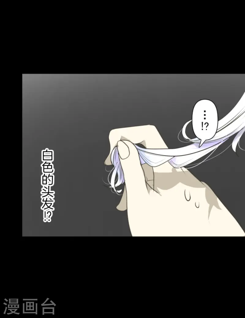 第206话 过去篇296