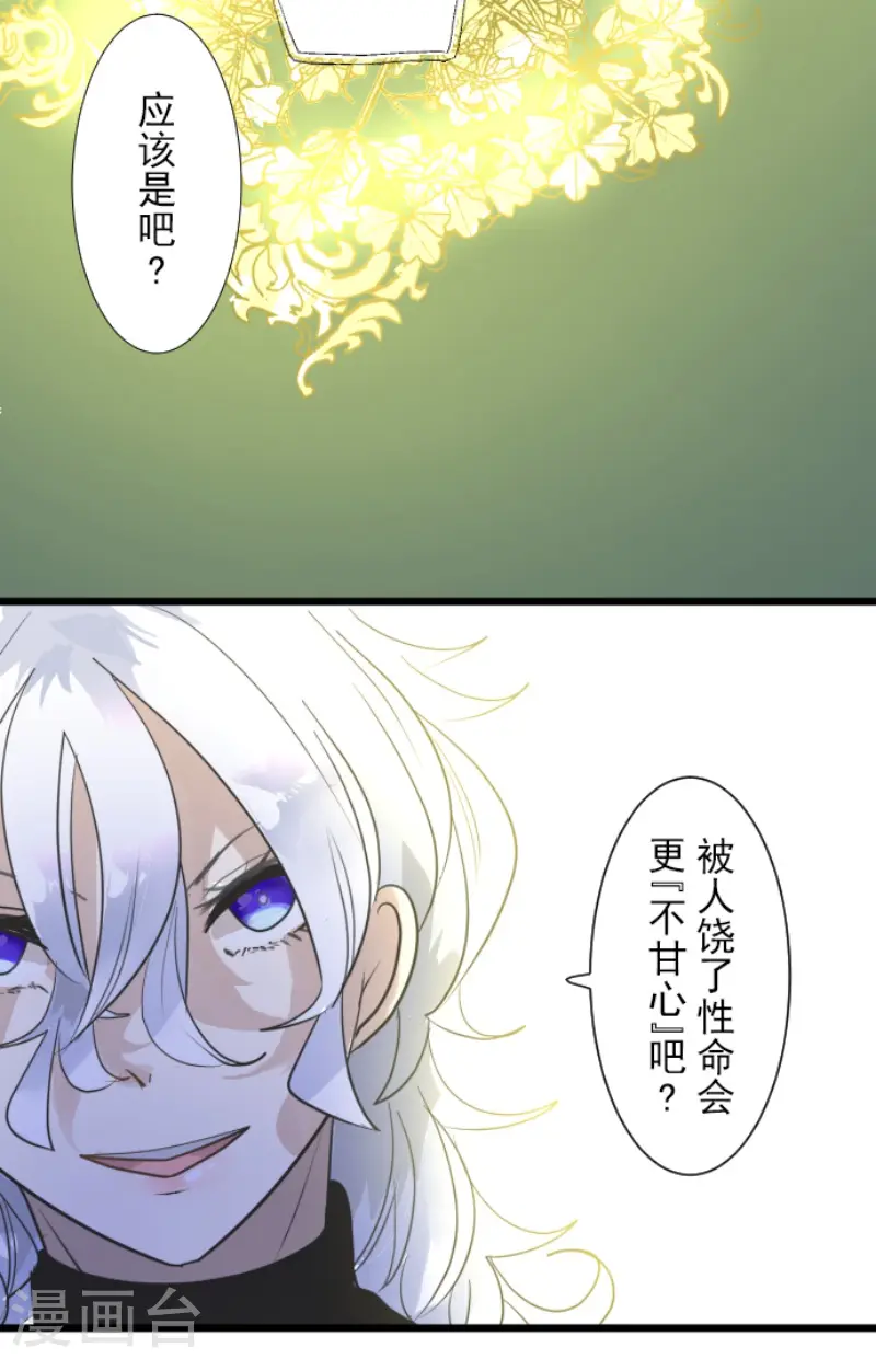 第217话 大笨蛋7