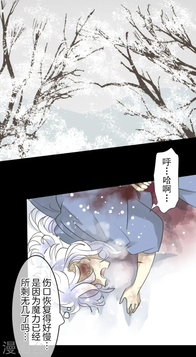 第216话 过去篇3049