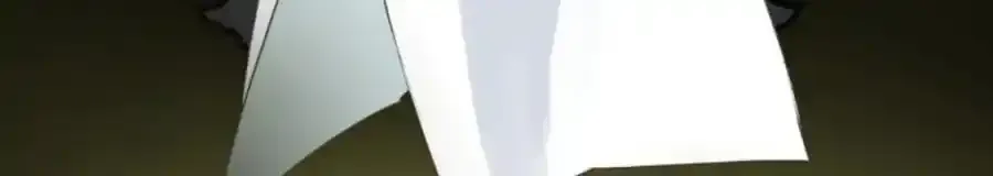 第317话 玛林的危机13