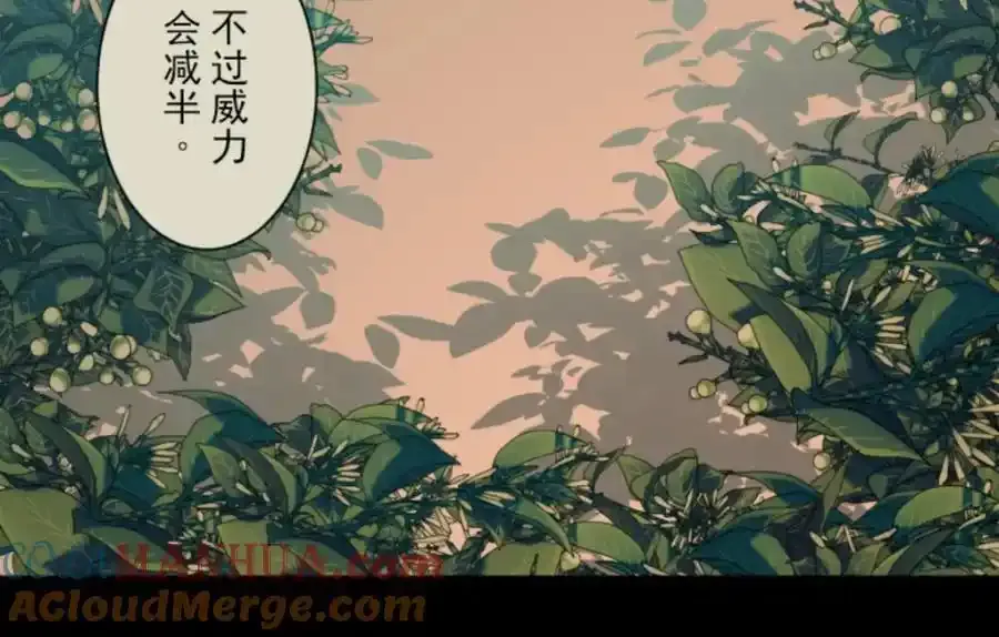 第321话 运筹帷幄52