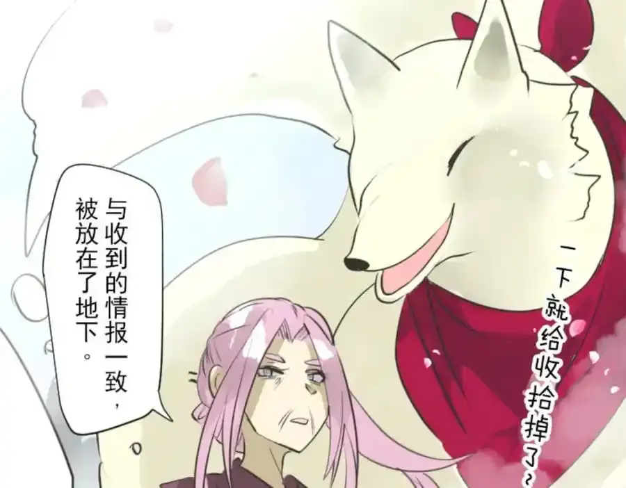 第315话 战前布置1115