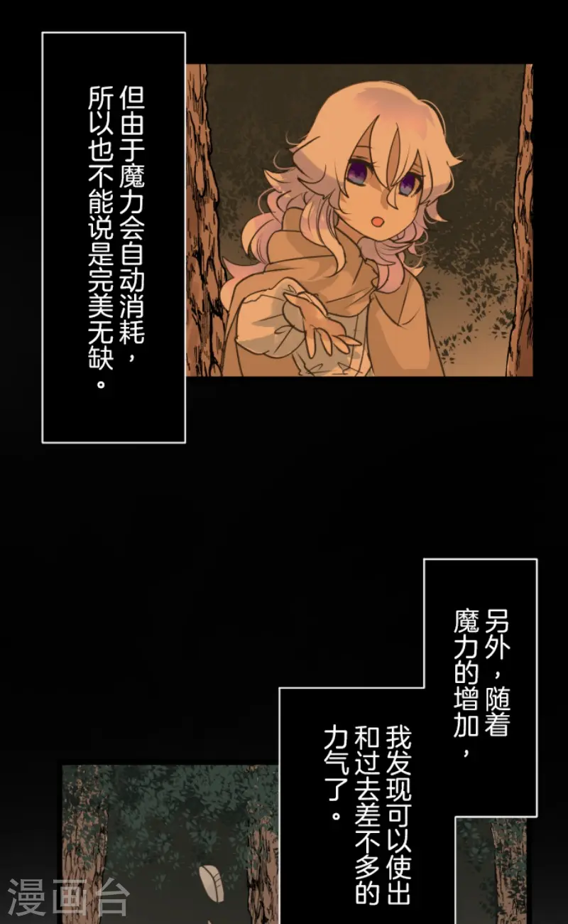 第216话 过去篇307