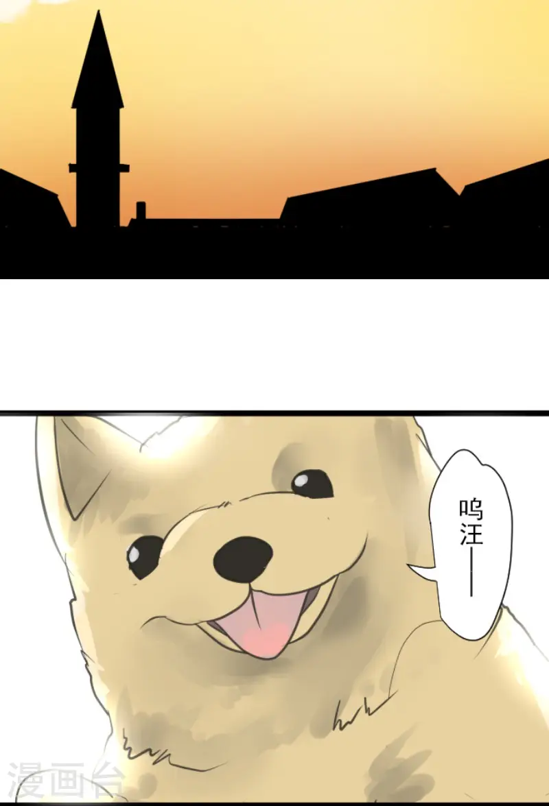 第134话 威利诺31