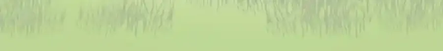 第309话 皇子与王子119