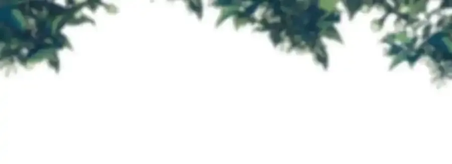 第306话 爱的正确方式53