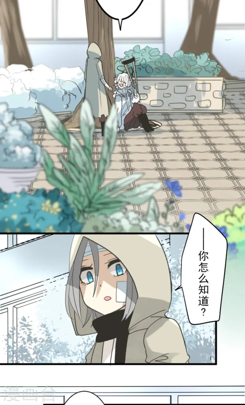第220话 过去篇3147