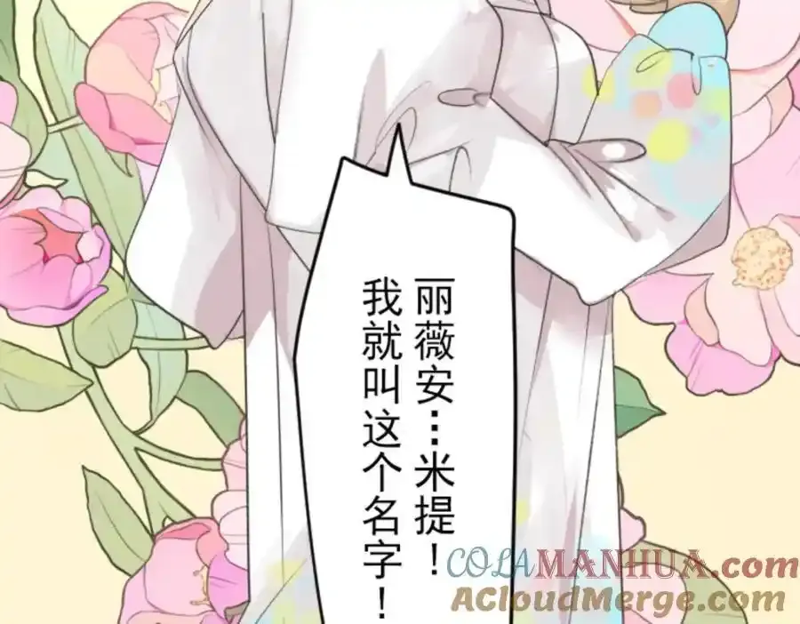 第305话 搭档的意义104