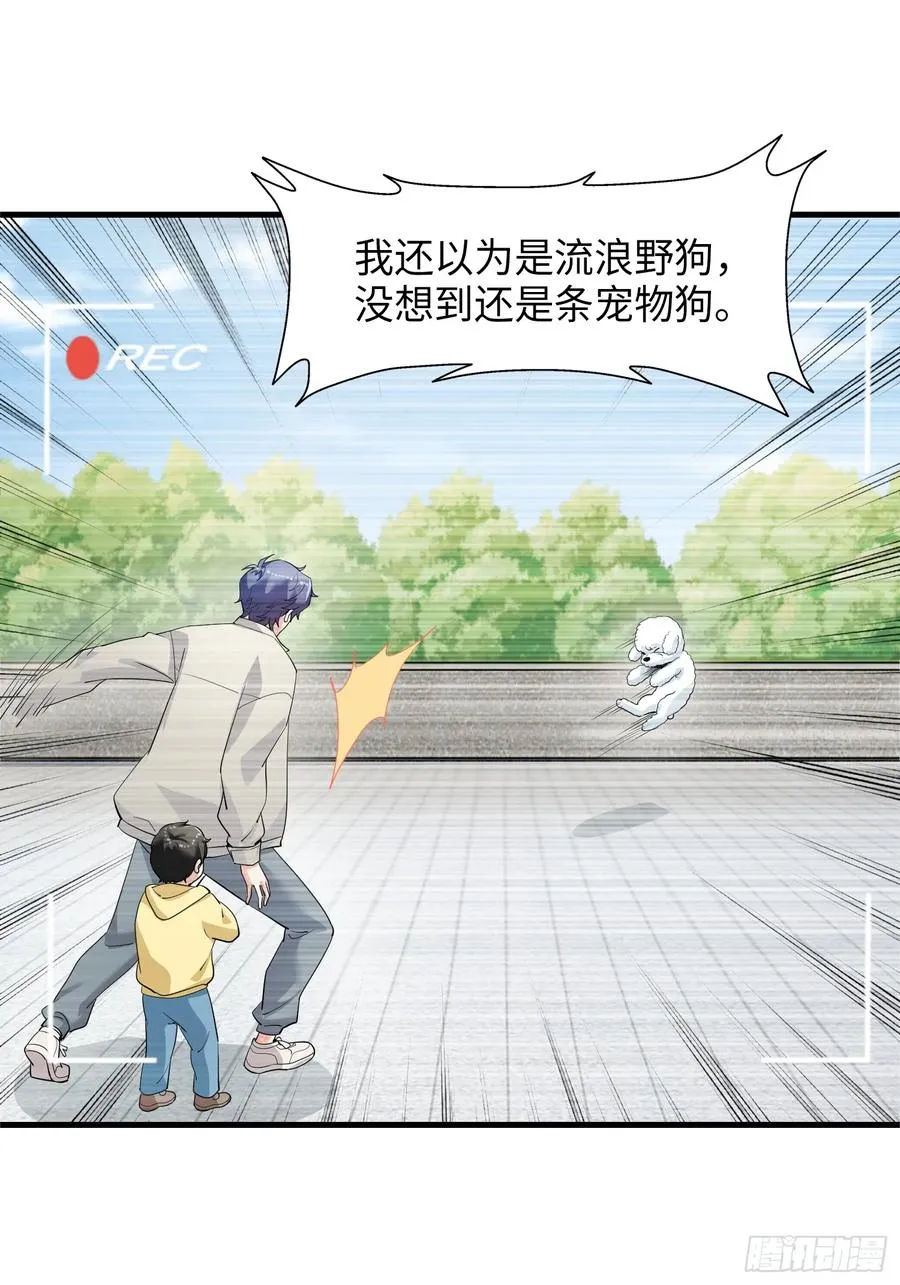32集：爱宠人士vs虐宠变态11