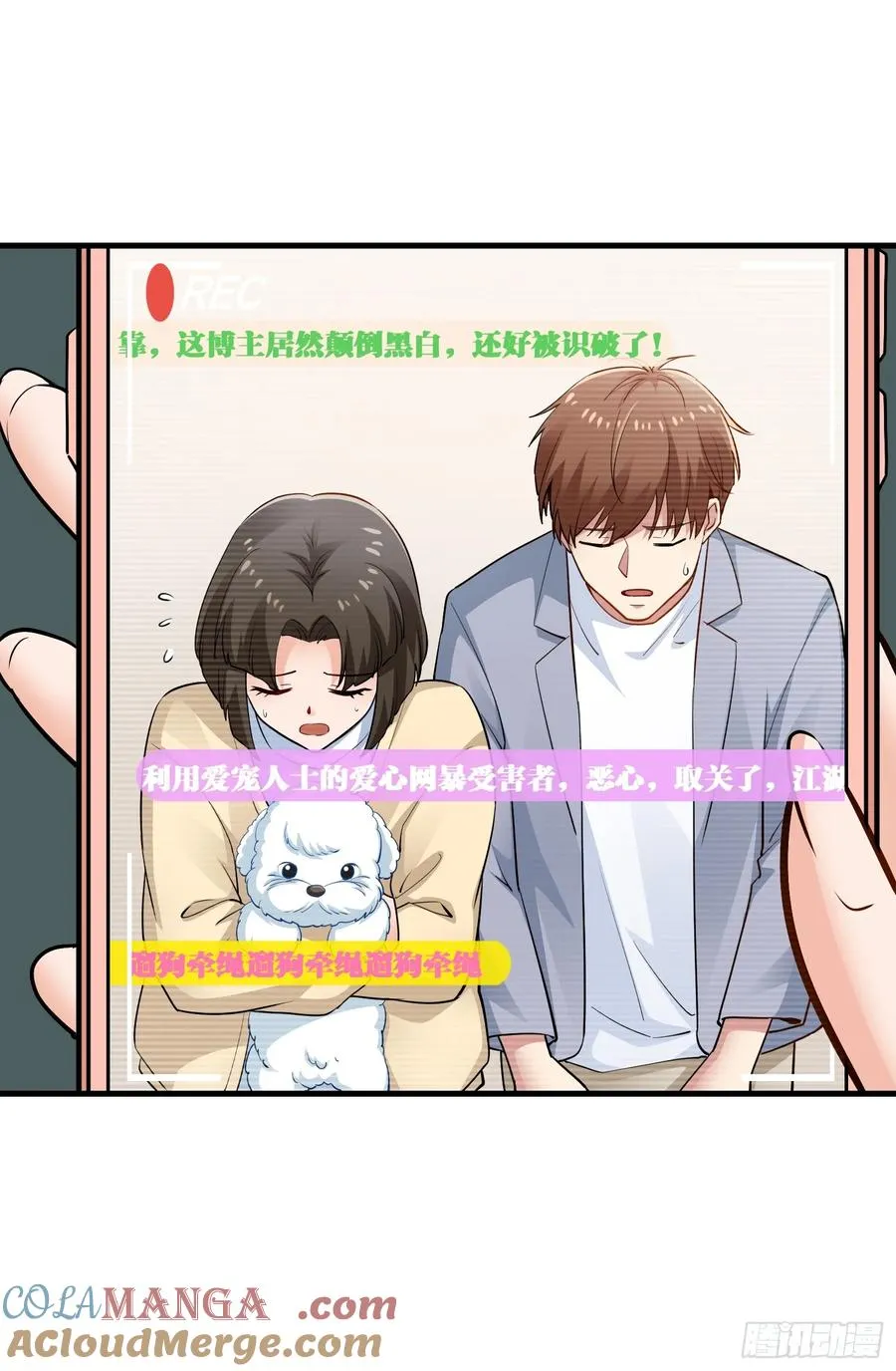 36集：爱宠应理性42