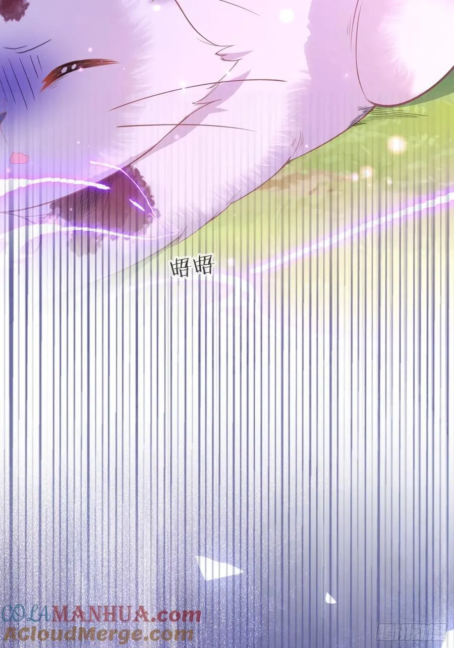09 猫的梦境6