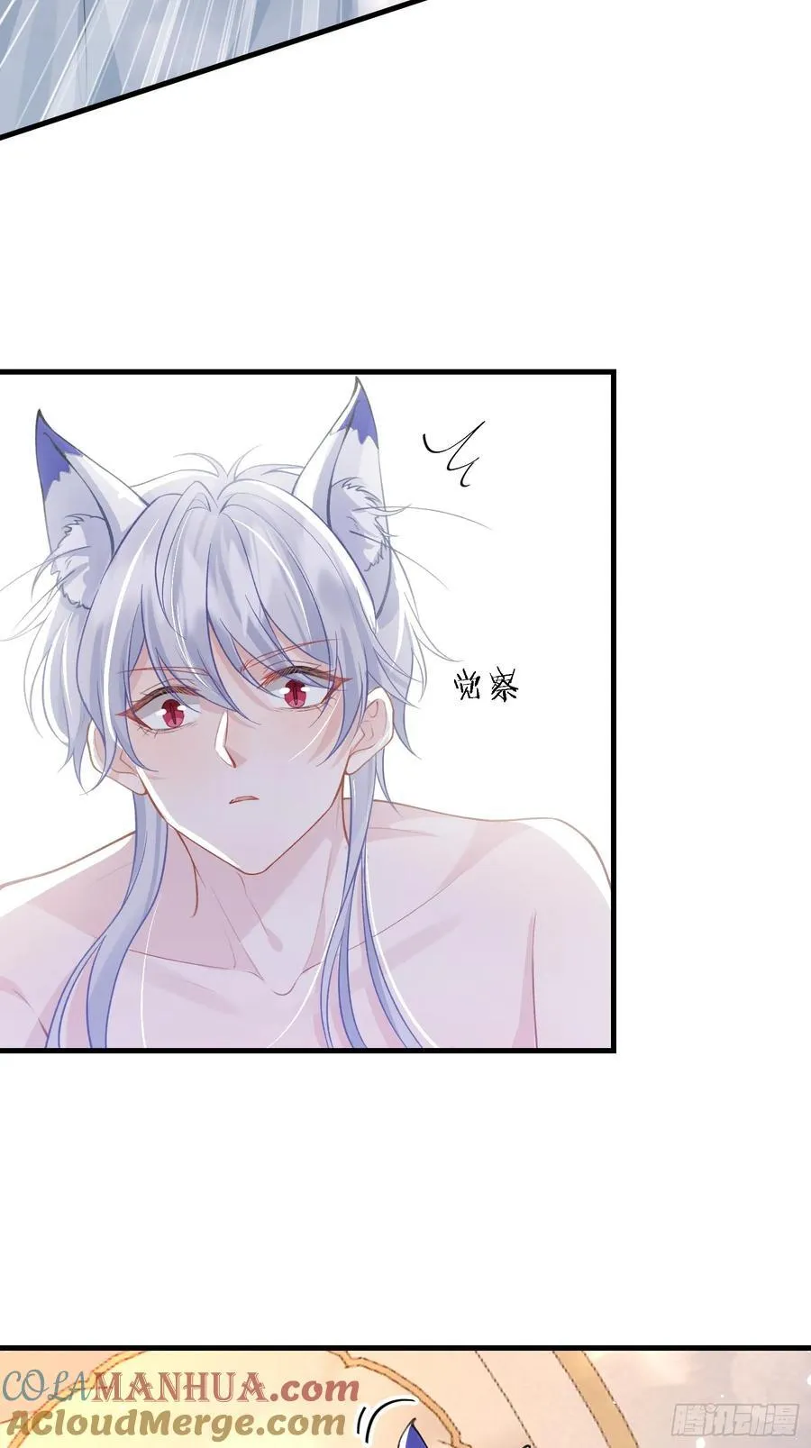 11 猫妖化人？33