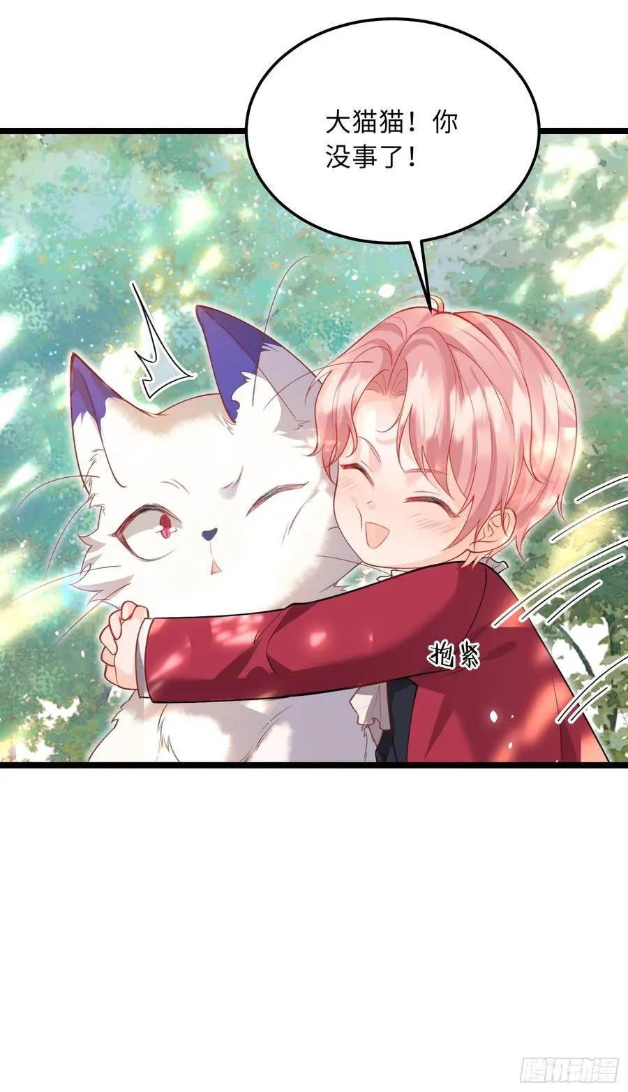 09 猫的梦境22