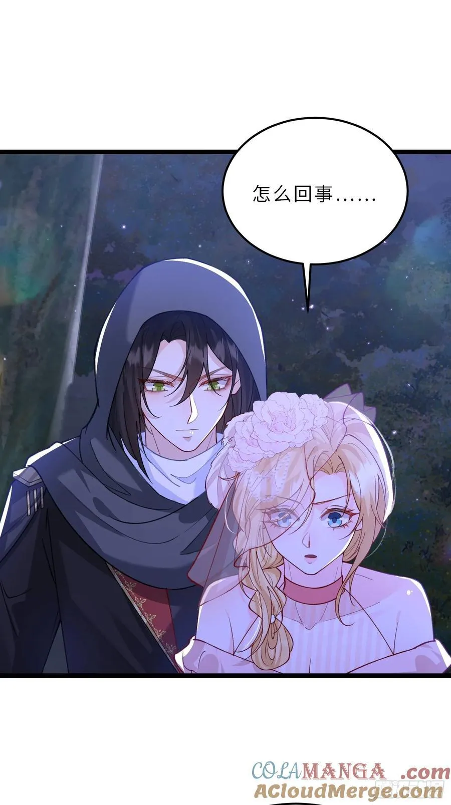 28 舞会诡谲14
