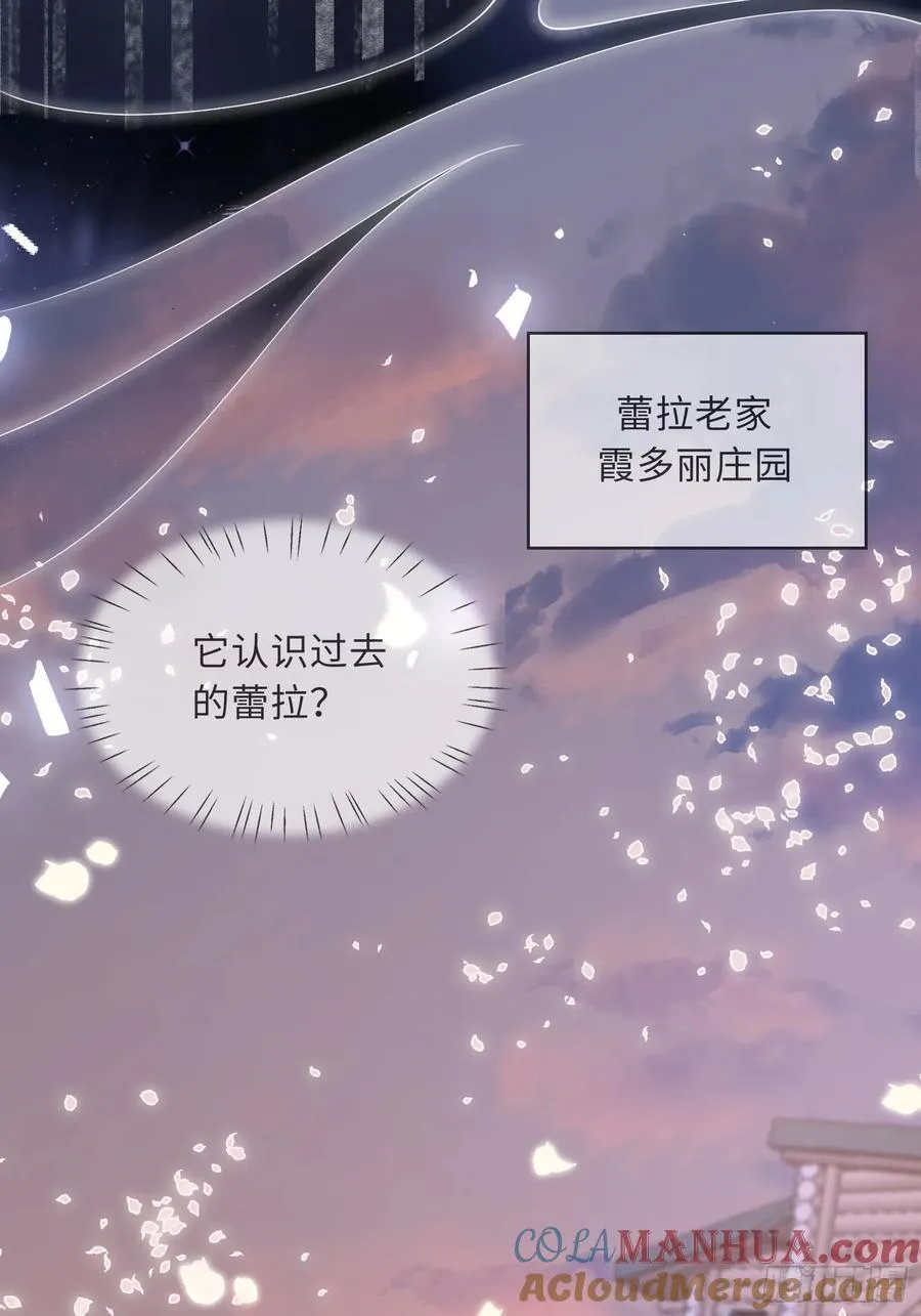 09 猫的梦境9