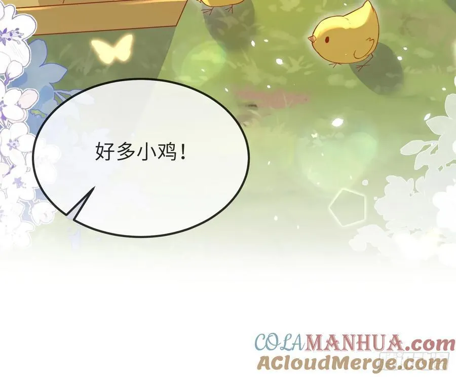 09 猫的梦境42