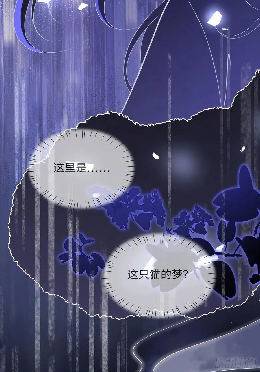09 猫的梦境8