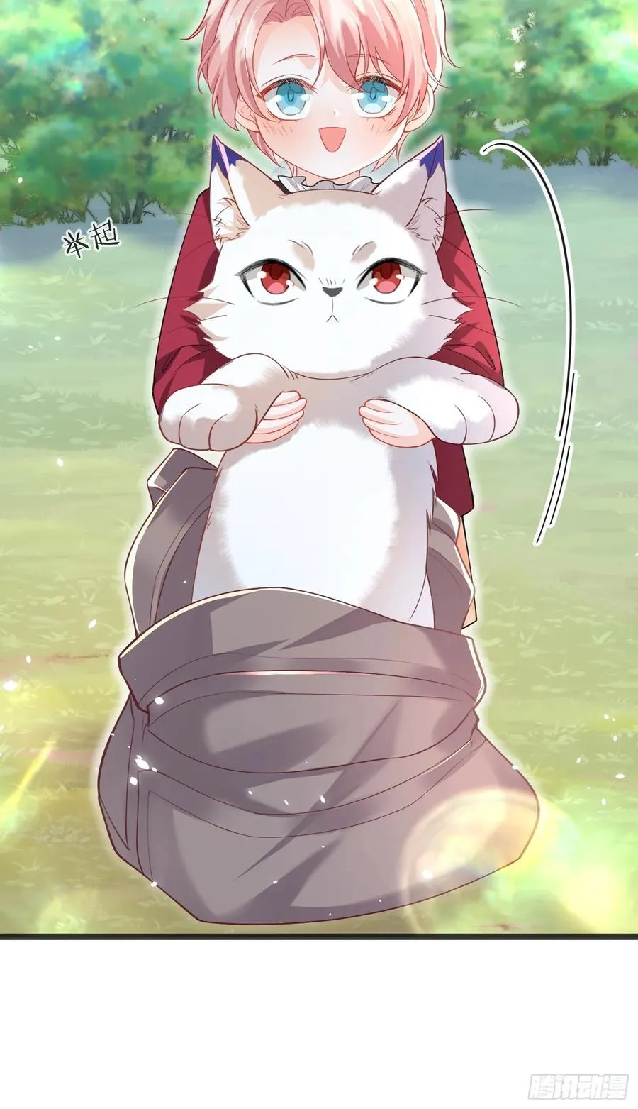 09 猫的梦境34