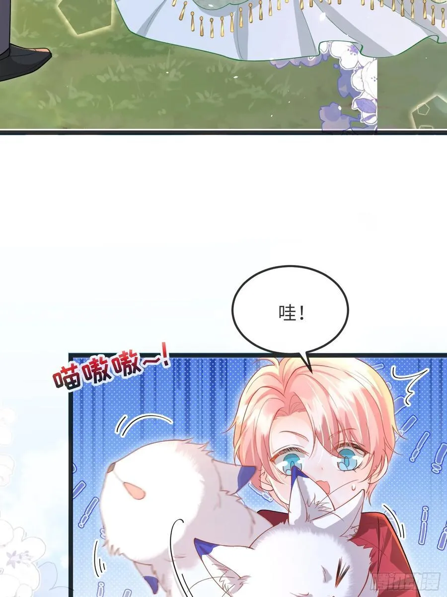 09 猫的梦境38