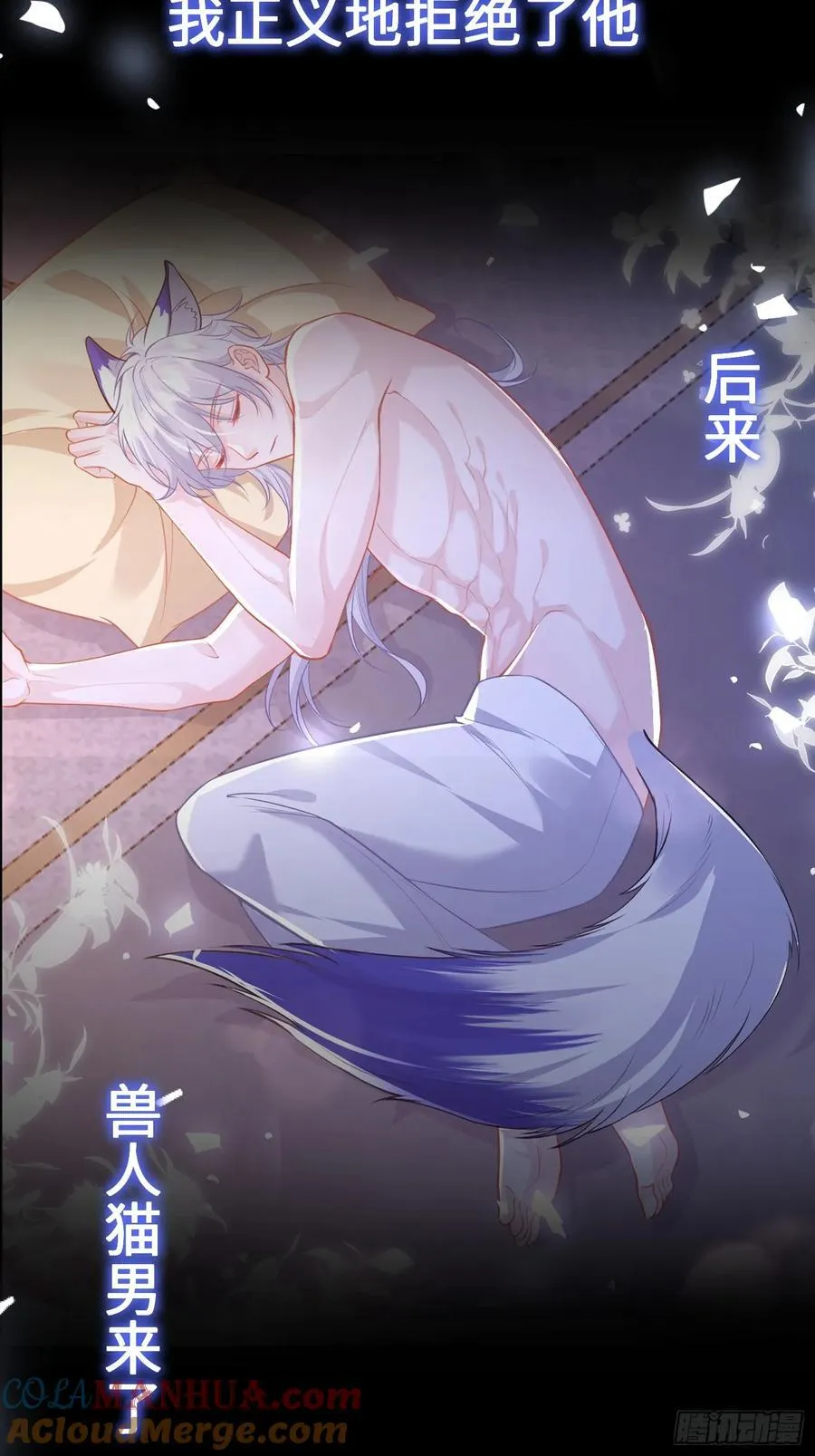 上线预告12