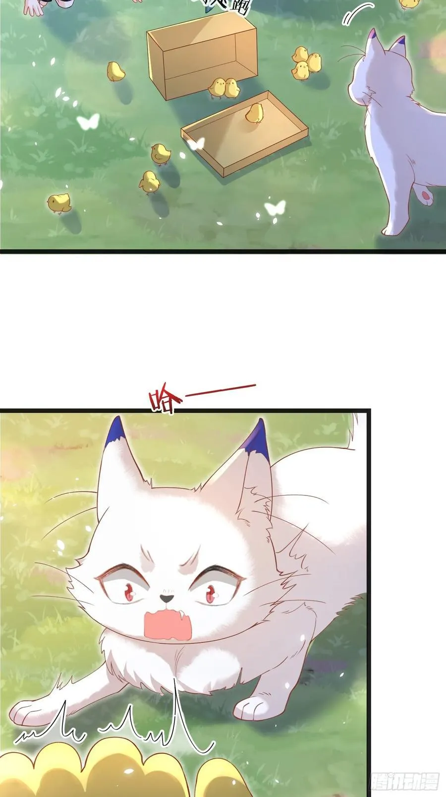 09 猫的梦境44