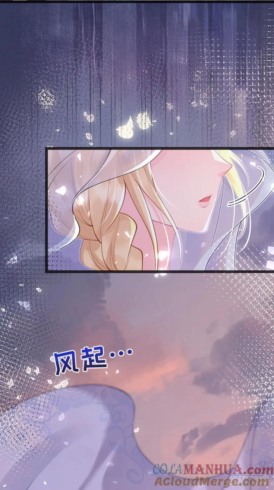 09 猫的梦境15