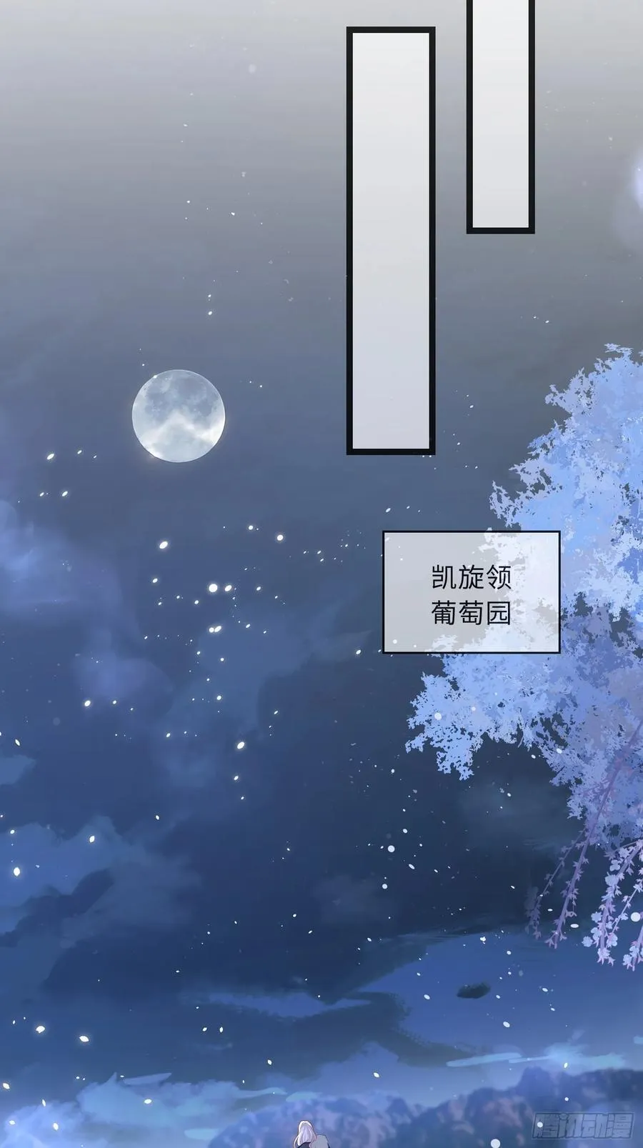 11 猫妖化人？16