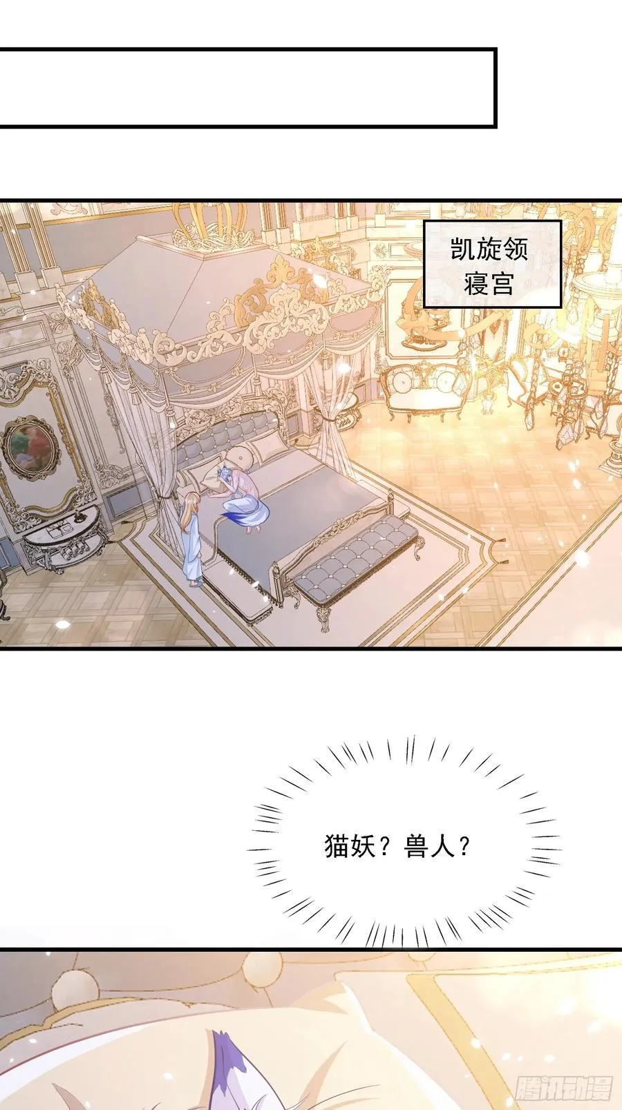 11 猫妖化人？26