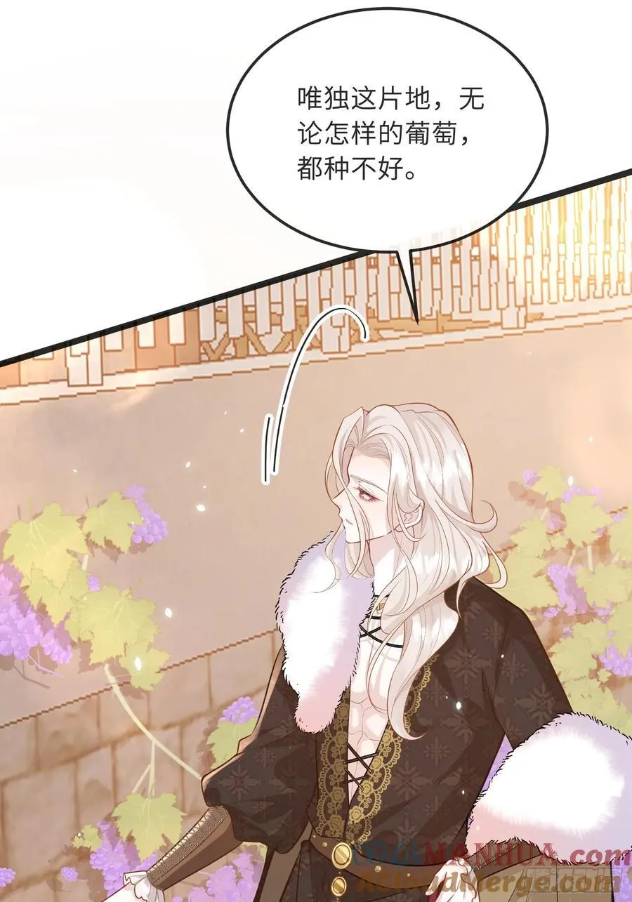 10 被诅咒的土地40
