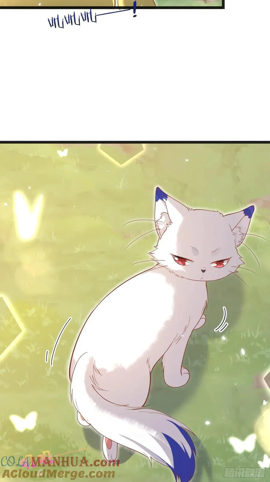 09 猫的梦境45