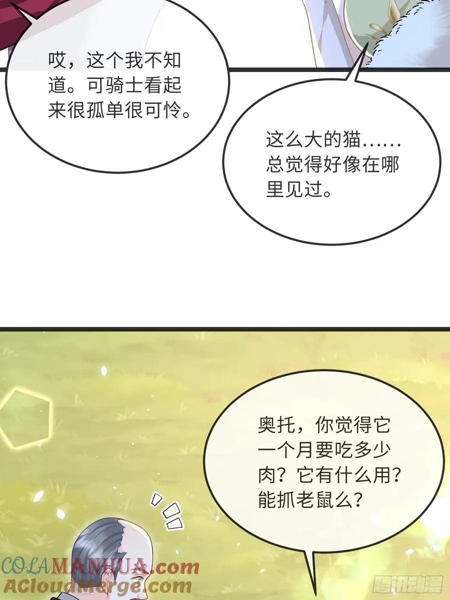 09 猫的梦境36