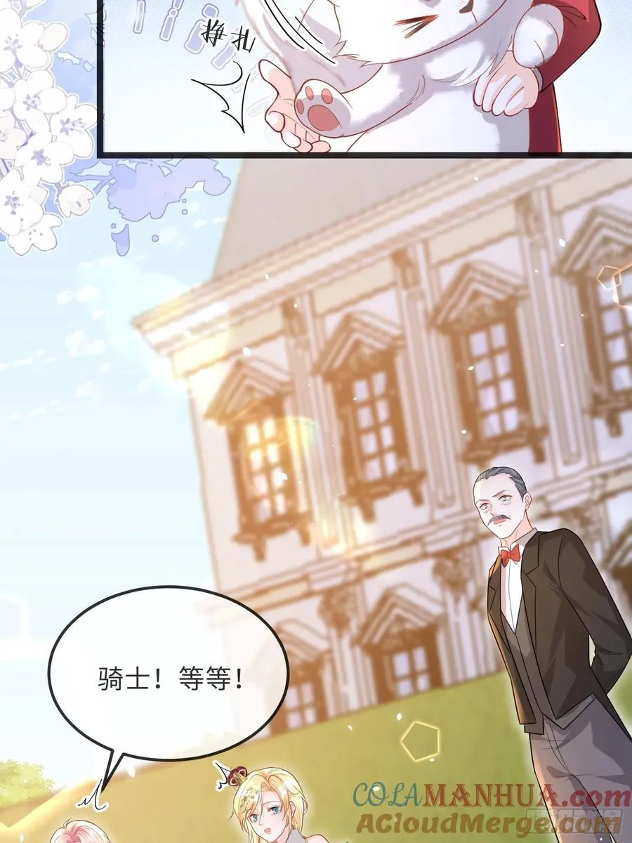 09 猫的梦境39