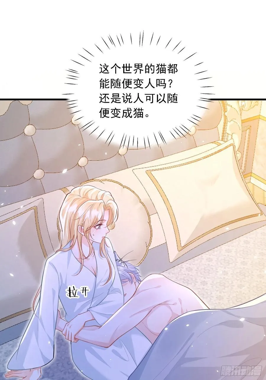 11 猫妖化人？38