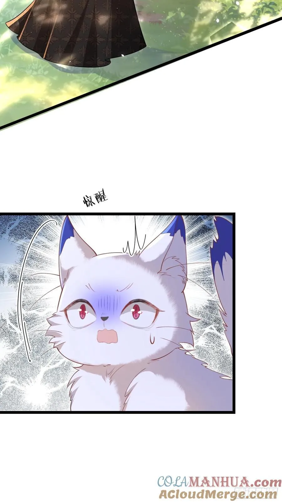 09 猫的梦境21