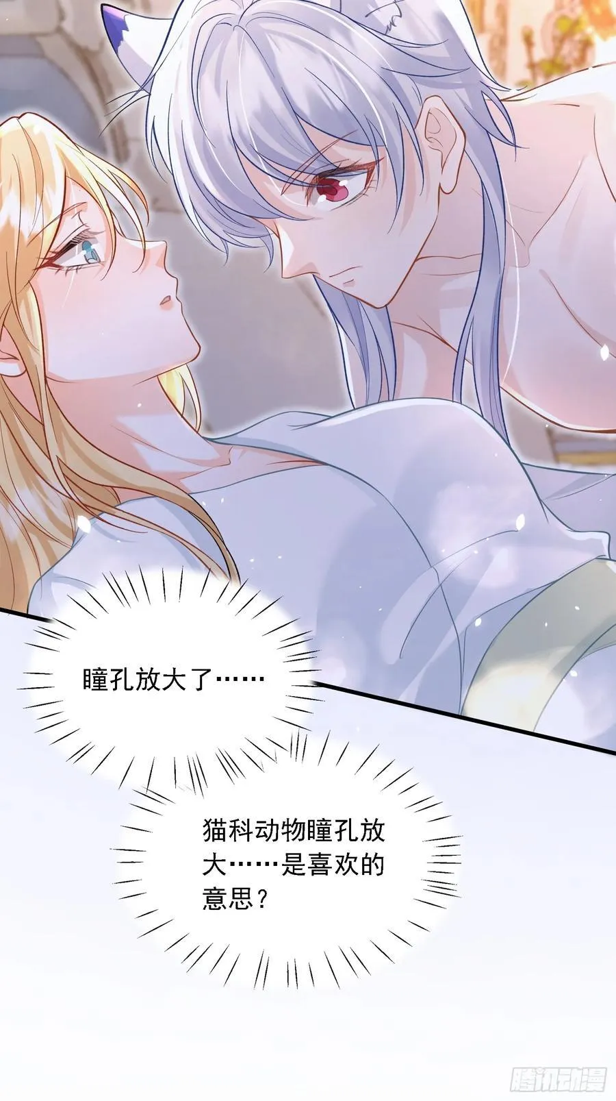 11 猫妖化人？35