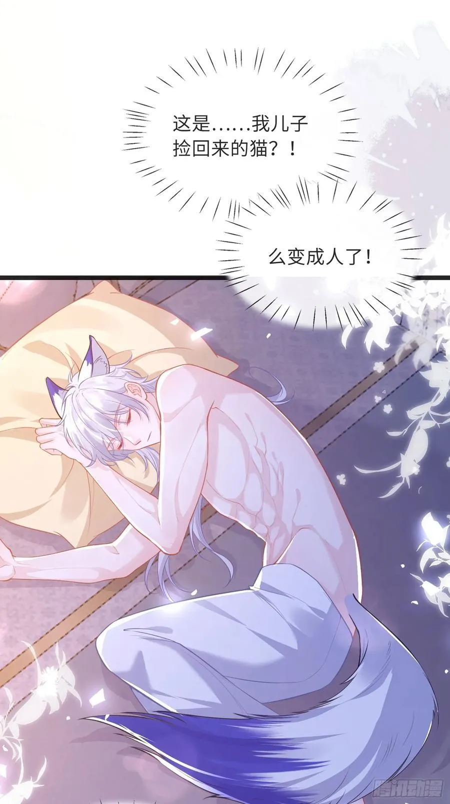 11 猫妖化人？14