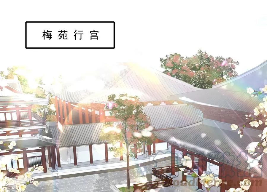 第119话 按计划行事3