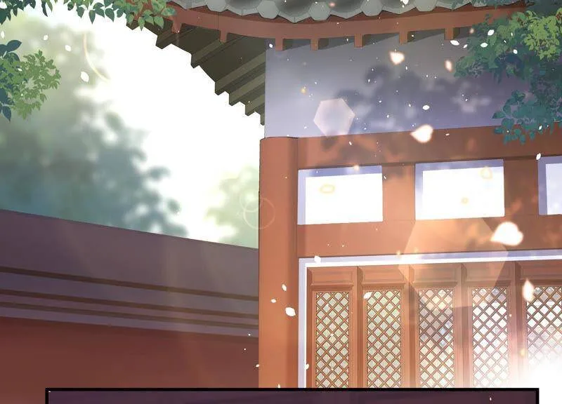 情人节特辑5
