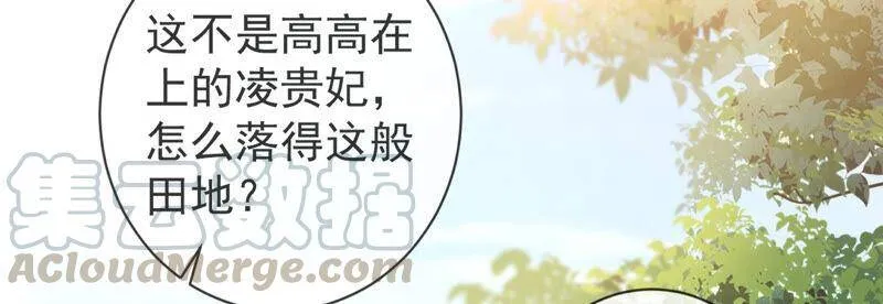 第8话 一石二鸟33