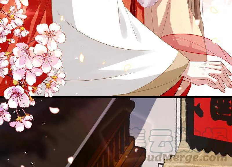 情人节特辑14